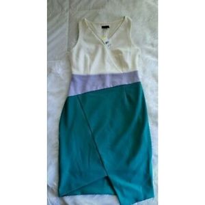 NWT Metaphor Color Block Asymmetrical Dress